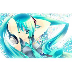 初音未来 B (42)