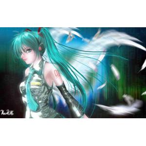 初音未来 B (41)