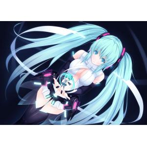 初音未来 B (3)