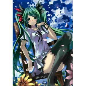 初音未来 B (18)