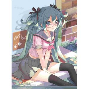 初音未来 B (13)