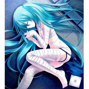 初音未来 A (55)