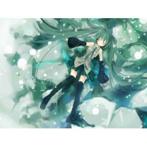 初音未来 A (58)