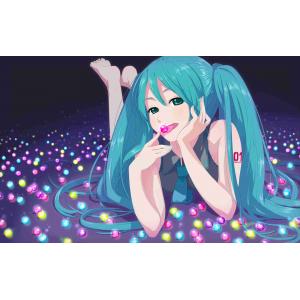 初音未来 A (13)