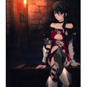 BERSERIA(传说系列之作)  A (9)