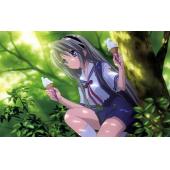 CLANNAD D (96)