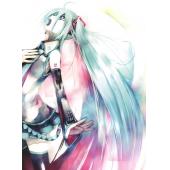 初音未来 O (30)