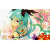 初音未来 N (96)