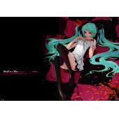 初音未来 N (78)