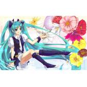 初音未来 N (26)