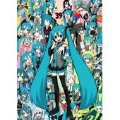 初音未来 N (12)