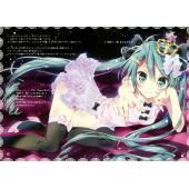 初音未来 N (14)