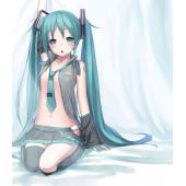 初音未来 L (78)