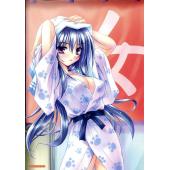 电击美少女海报 C (21)