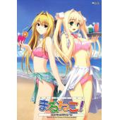 电击美少女海报 B (2)