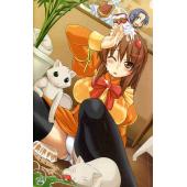 电击美少女海报 A (70)