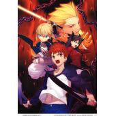 Fate stay night A (14)