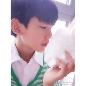 TF家族(小图) (3)