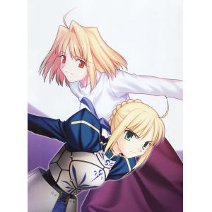 TYPE MOON B (20)