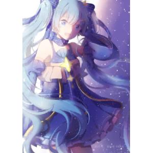 雪初音 B (8)