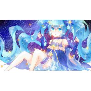 雪初音 A (9)