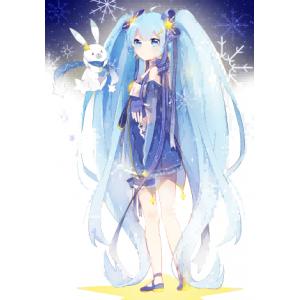 雪初音 B (1)