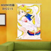 BH2215-美少女战士 动漫挂画（60X90）