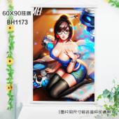 (60X90)BH1173-守望先锋游戏白色塑料杆挂画