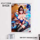 (45X72)BH526-守望先锋动漫白色塑料杆挂画