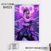 (45X72)BH523-守望先锋动漫白色塑料杆挂画