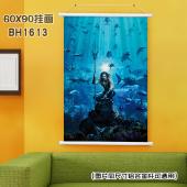 (60X90)BH1613-海王 影视白色塑料杆挂画