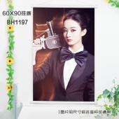 (60X90)BH1197-赵丽颖明星白色塑料杆挂画