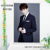 (60X90)BH1192-杨洋明星白色塑料杆挂画